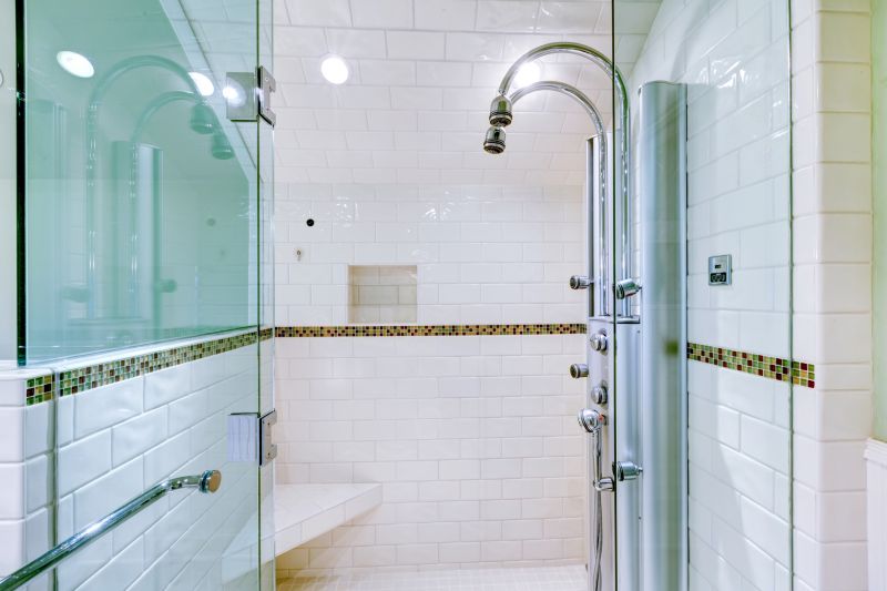 Sophisticated Shower Design